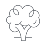 Contact Ramstane Farm &Amp; The Garden Room CONTACT RAMSTANE FARM & THE GARDEN ROOM