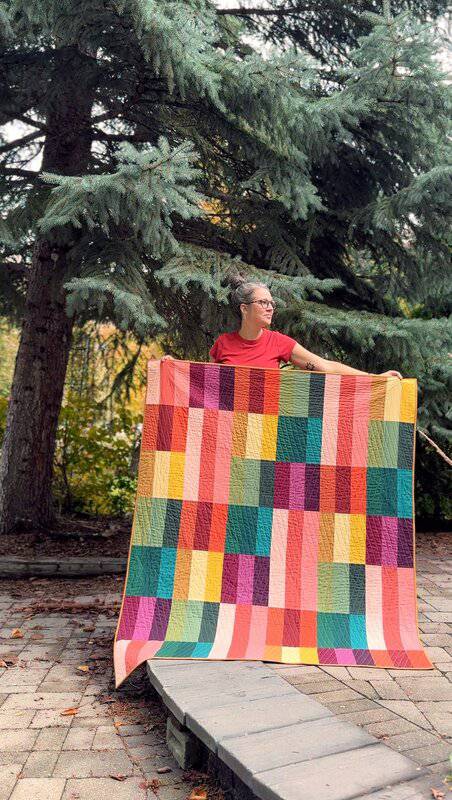 The Blanket Statement  Paint Lake  Quilt Pattern
